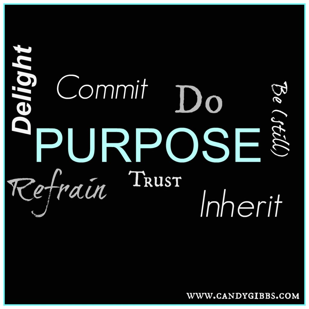 purpose1
