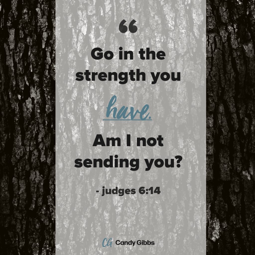 371AF2DE-2941-49A5-9736-C8FB4D834C9F