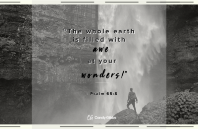 Wonder Wonder-4
